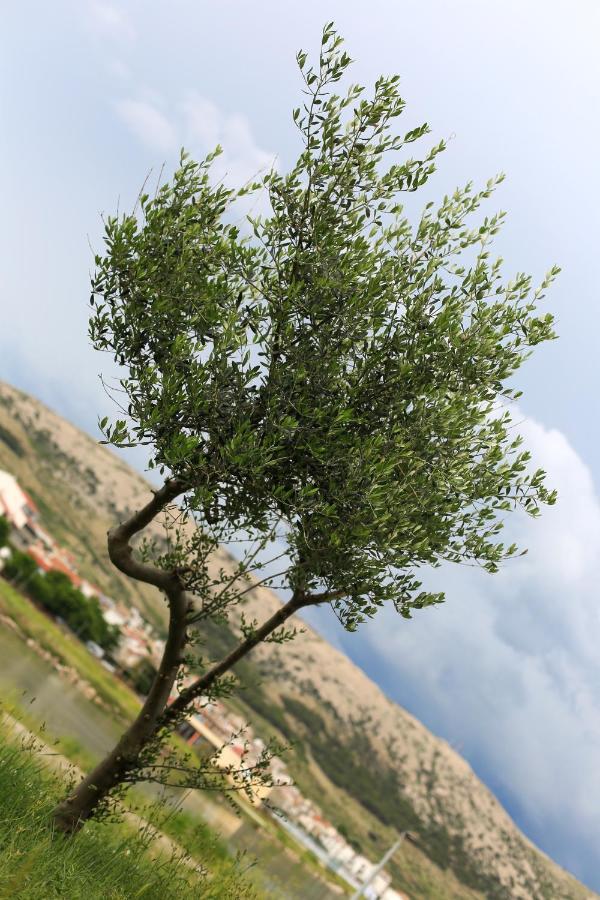 Apartmani Ria2 Pag Pag Town Kültér fotó